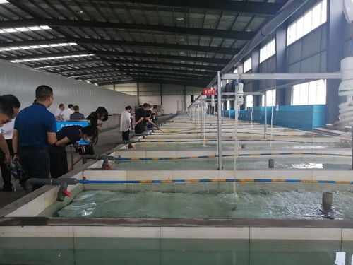东坡区高质量水产产业获全省好评